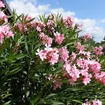 빌라 Emma Smoljanci 76
